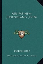 Aus Meinem Jugendland (1918)