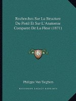 Recherches Sur La Structure Du Pistil Et Sur L'Anatomie Comparee De La Fleur (1871)