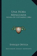 Una Hora Menguada: Novela De Costumbres (1886)