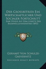 Der Grossbetrieb Ein Wirtschaftlicher Und Socialer Fortschritt: Eine Studie Auf Dem Gebiete Der Baumwollenindustrie (1892)