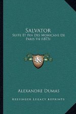 Salvator: Suite Et Fin Des Mohicans De Paris V4 (1873)