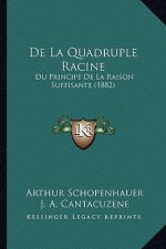 De La Quadruple Racine: Du Principe De La Raison Suffisante (1882)