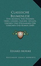 Classische Blumenlese: Eine Auswahl Von Hymnen, Oden, Liedern, Elegien, Idyllen, Gnomen Und Epigrammen Der Griechen Und Romer (1840)