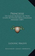 Princesse: Un Grand Mariage Les Trois Coups De Foudre Mon Camarade Mussard (1887)