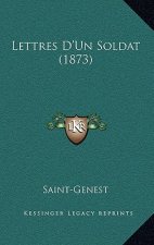 Lettres D'Un Soldat (1873)