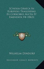 Scholia Graeca In Euripidis Tragoedias Ex Codicibus Aucta Et Emendata V4 (1863)