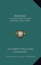 Anneke: A Little Dame Of New Netherlands (1900)