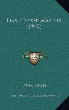 Das Grosse Wagnis (1919)