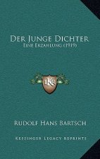 Der Junge Dichter: Eine Erzahlung (1919)