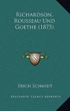 Richardson, Rousseau Und Goethe (1875)