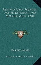 Beispiele Und Ubungen Aus Elektrizitat Und Magnetismus (1910)