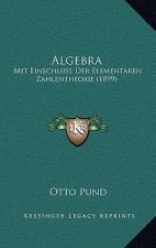 Algebra: Mit Einschluss Der Elementaren Zahlentheorie (1899)