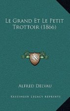 Le Grand Et Le Petit Trottoir (1866)