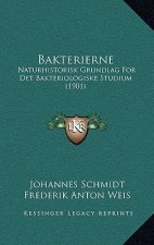 Bakterierne: Naturhistorisk Grundlag For Det Bakteriologiske Studium (1901)