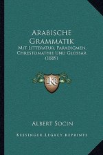 Arabische Grammatik: Mit Litteratur, Paradigmen, Chrestomathie Und Glossar (1889)