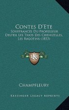 Contes D'Ete: Souffrances Du Professeur Delteil Les Trios Des Chenizelles, Les Ragotins (1853)