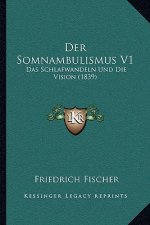 Der Somnambulismus V1: Das Schlafwandeln Und Die Vision (1839)