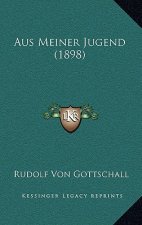 Aus Meiner Jugend (1898)