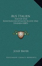 Aus Italien: Kultur Und Kunstgeschichtliche Bilder Und Studien (1885)
