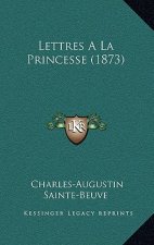 Lettres a la Princesse (1873)