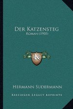 Der Katzensteg: Roman (1905)
