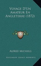 Voyage D'Un Amateur En Angleterre (1872)