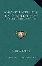 Abhandlungen Aus Dem Strafrechte V2: Und Dem Strafprocesse (1842)