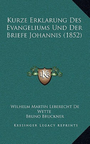 Kurze Erklarung Des Evangeliums Und Der Briefe Johannis (1852)