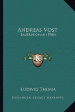 Andreas Vost: Bauernroman (1906)