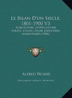 Le Bilan D'un Siecle, 1801-1900 V3: Agriculture, Horticulture, Forets, Chasse, Peche Industries Alimentaires (1906)