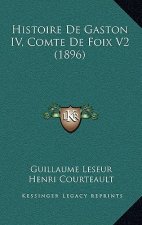 Histoire De Gaston IV, Comte De Foix V2 (1896)