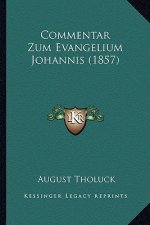 Commentar Zum Evangelium Johannis (1857)
