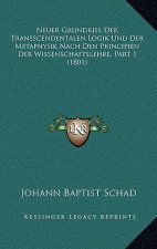 Neuer Grundriss Der Transscendentalen Logik Und Der Metaphysik Nach Den Principien Der Wissenschaftslehre, Part 1 (1801)