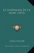 Le Lendemain De La Mort (1872)