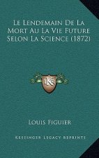 Le Lendemain De La Mort Au La Vie Future Selon La Science (1872)