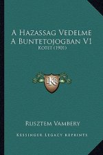 A Hazassag Vedelme A Buntetojogban V1: Kotet (1901)