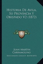 Historia De Avila, Su Provincia Y Obispado V2 (1872)