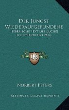 Der Jungst Wiederaufgefundene: Hebraische Text Des Buches Ecclesiasticus (1902)