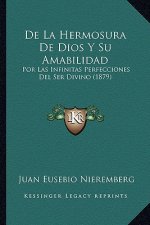 De La Hermosura De Dios Y Su Amabilidad: Por Las Infinitas Perfecciones Del Ser Divino (1879)