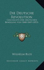 Die Deutsche Revolution: Geschichte Der Deutschen Bewegung Von 1848-1849 (1893)