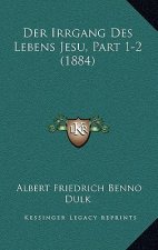 Der Irrgang Des Lebens Jesu, Part 1-2 (1884)