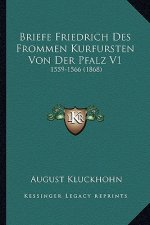 Briefe Friedrich Des Frommen Kurfursten Von Der Pfalz V1: 1559-1566 (1868)