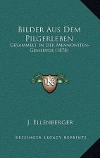 Bilder Aus Dem Pilgerleben: Gesammelt In Der Mennoniten-Gemeinde (1878)