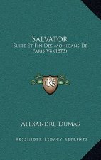 Salvator: Suite Et Fin Des Mohicans De Paris V4 (1873)