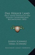 Das Heilige Land: Nach Seiner Ehemaligen Und Jetzigen Geographischen Beschaffenheit (1852)