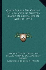 Carta Acerca del Origen de La Imagen de Nuestra Senora de Guadalupe de Mexico (1896)