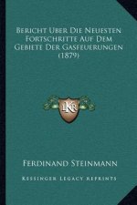 Bericht Uber Die Neuesten Fortschritte Auf Dem Gebiete Der Gasfeuerungen (1879)