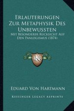 Erlauterungen Zur Metaphysik Des Unbewussten: Mit Besonderer Rucksicht Auf Den Panlogismus (1874)