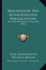 Bruchstucke Der Altsachsischen Bibeldichtung: Aus Der Bibliotheca Palatina (1894)