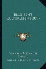 Blicke In's Culturleben (1879)